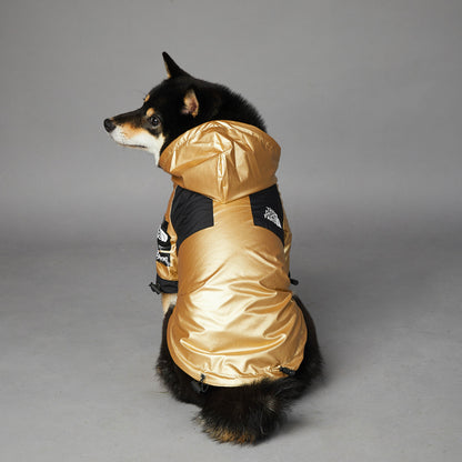 Canine Summit Jacket: Adventure-Ready Drip - BetaDawgz