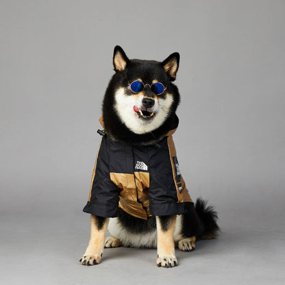 Canine Summit Jacket: Adventure-Ready Drip - BetaDawgz