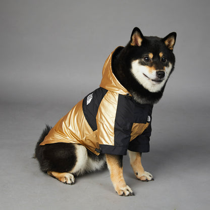 Canine Summit Jacket: Adventure-Ready Drip - BetaDawgz