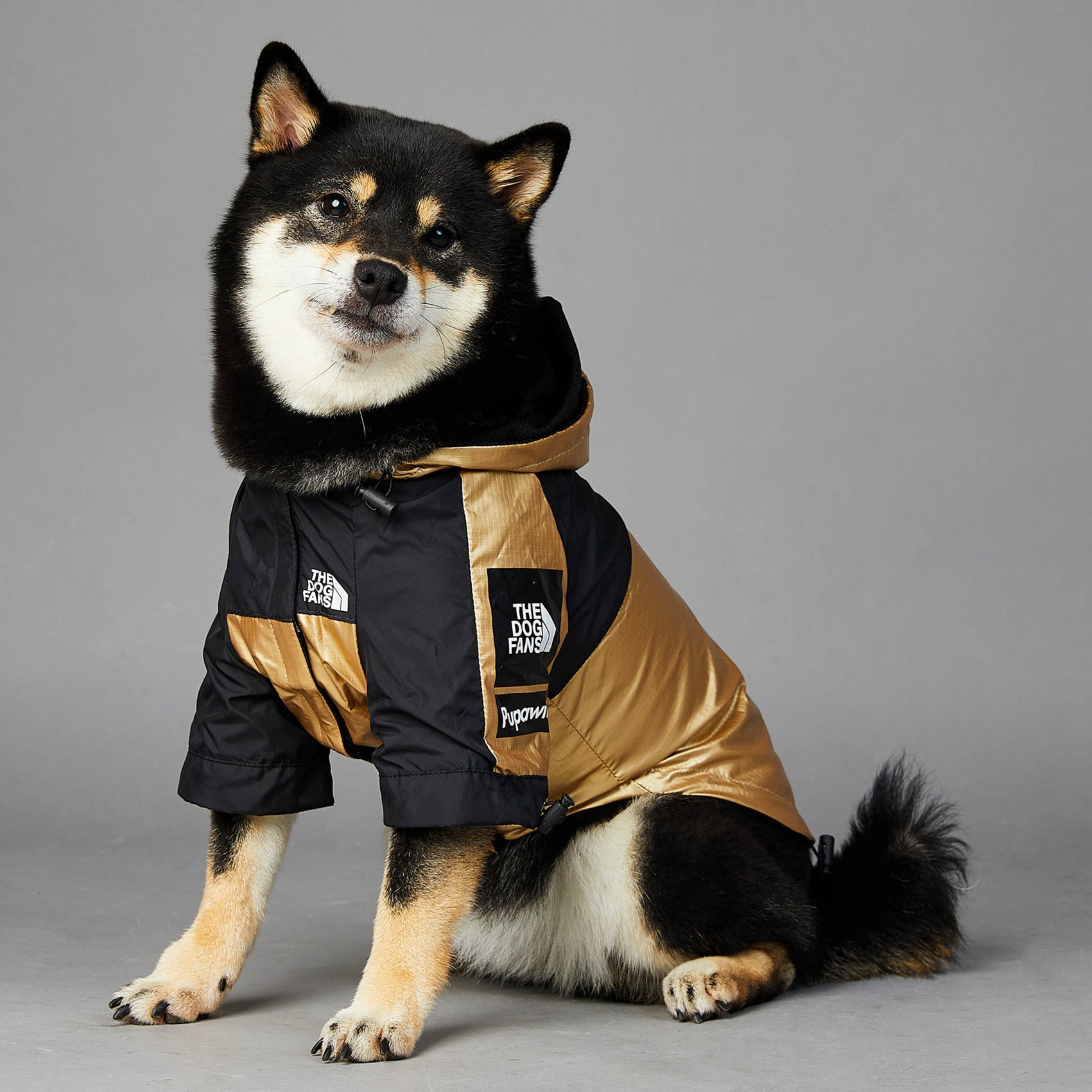 Canine Summit Jacket: Adventure-Ready Drip - BetaDawgz